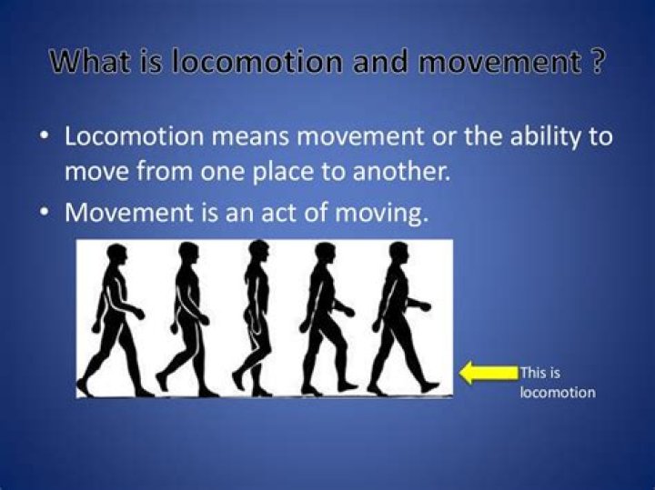 Where is Locomotion now?