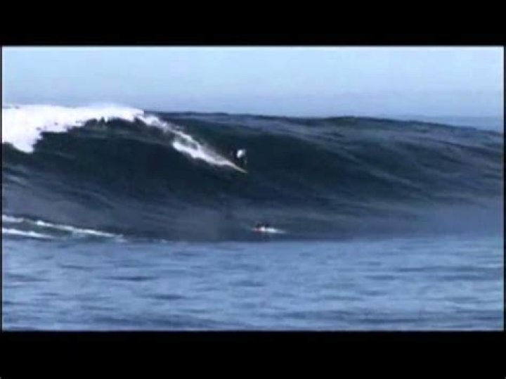 Where is shark Park surf spot?