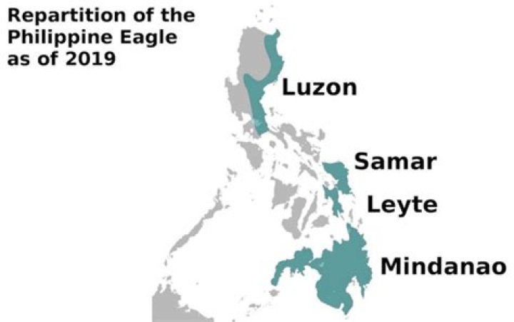 Where is the Philippine Eagle located?