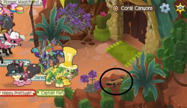 Where is the scorpion in Animal Jam coral canyons?