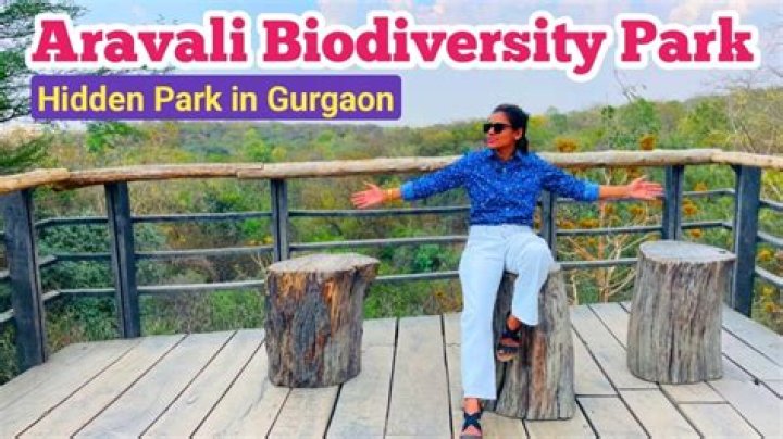 Where sale is going on in Gurgaon?