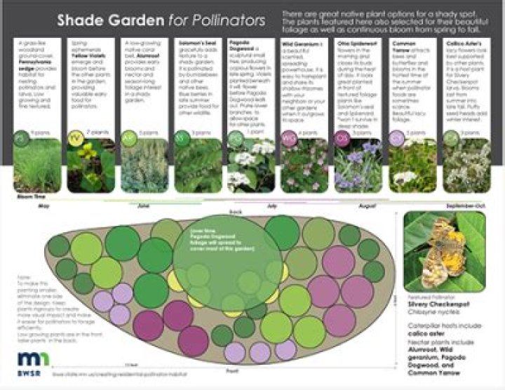 Where should a garden pollinator be placed?