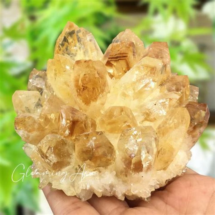 Where should I place Citrine cluster?