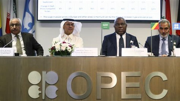 Which African country is not a member of OPEC?