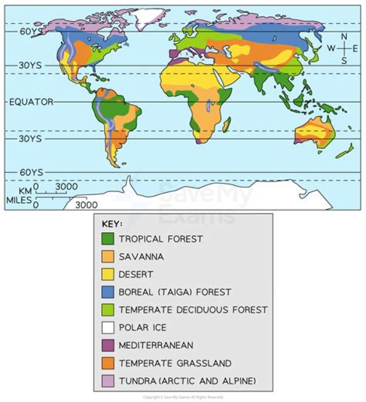 Which biome is found mostly north or south of 50 latitude?