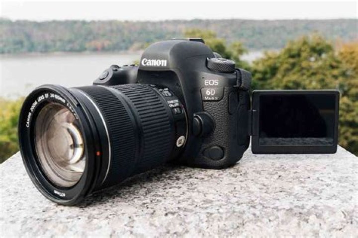 Which Canon DSLR is best for beginners?