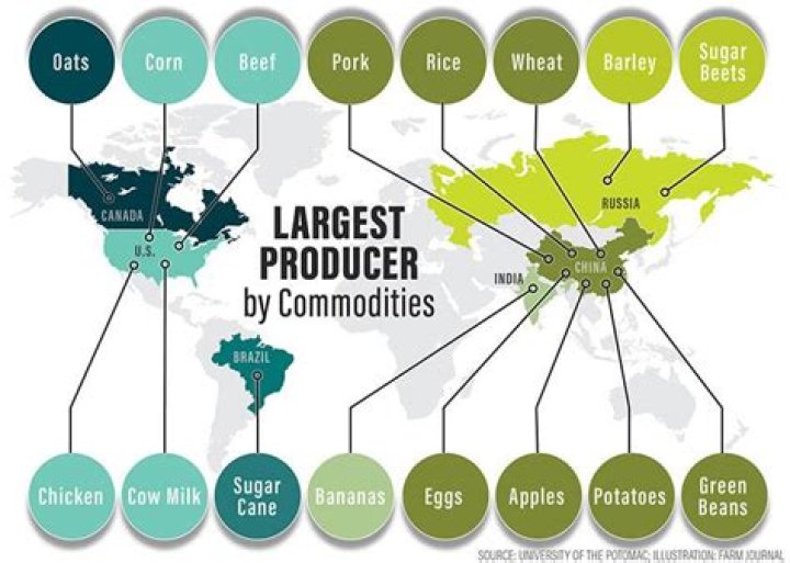 Which country is most involved in agriculture?