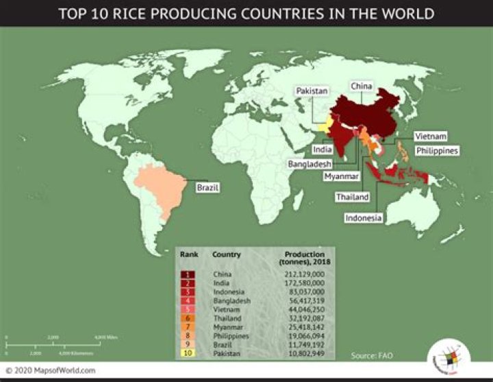 Which country is the second largest producer of rice in the world?