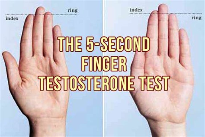 Which finger means more testosterone?