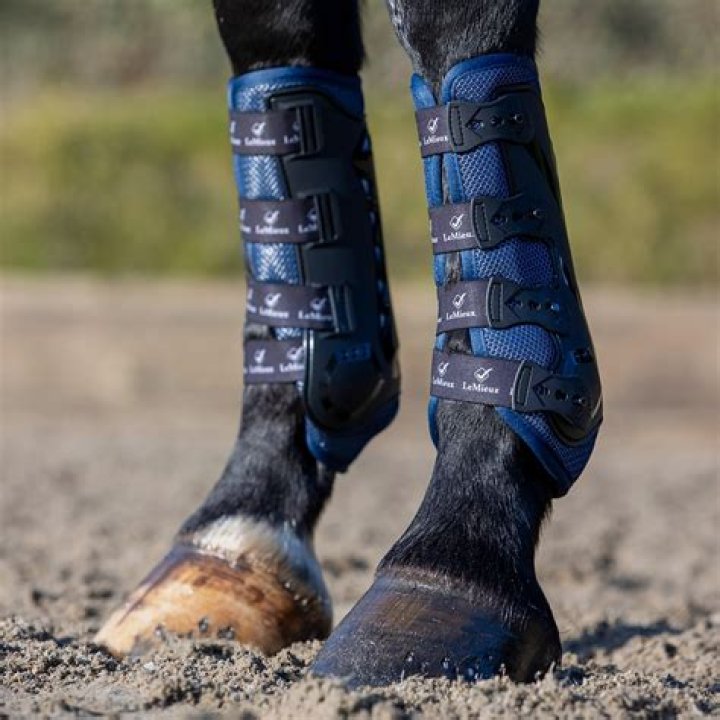 Which horse boots are the best?