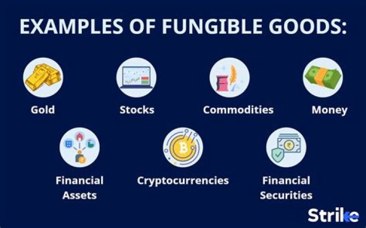 Which is the best example of fungible good?