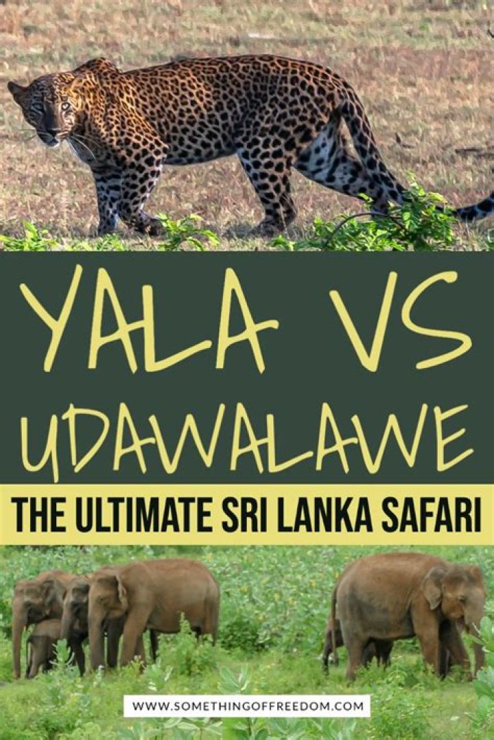 Which is the best safari in Sri Lanka?