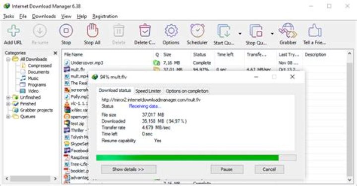 Which is the fastest Download Manager?
