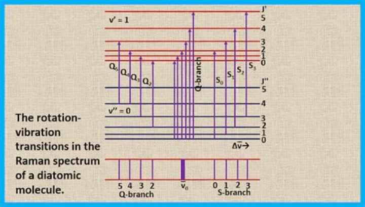 Which molecule will give Raman spectra?