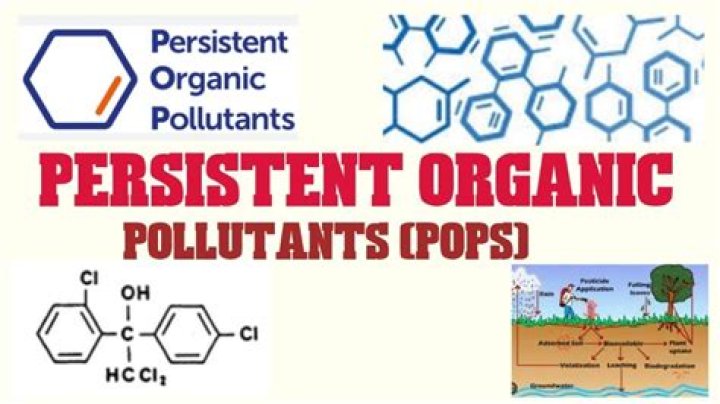 Which of the following is an example of a persistent organic pollutant?