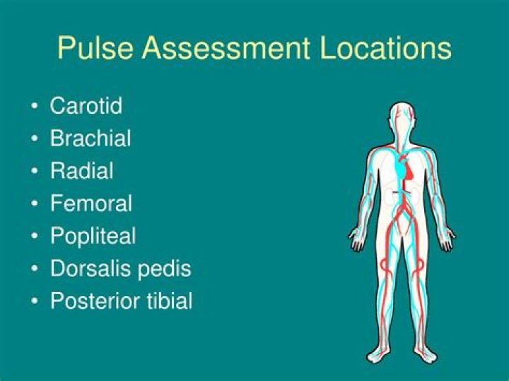 Which pulse location is the most accurate?