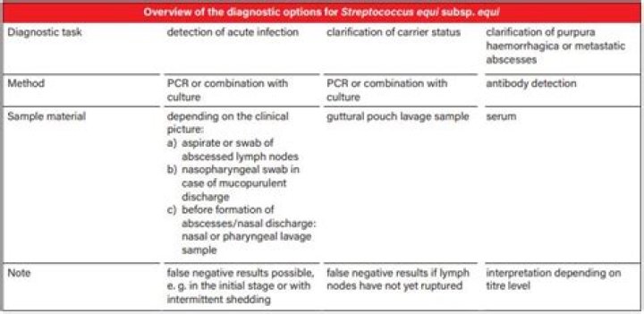 Which sample are taken for the diagnosis of Strangles?