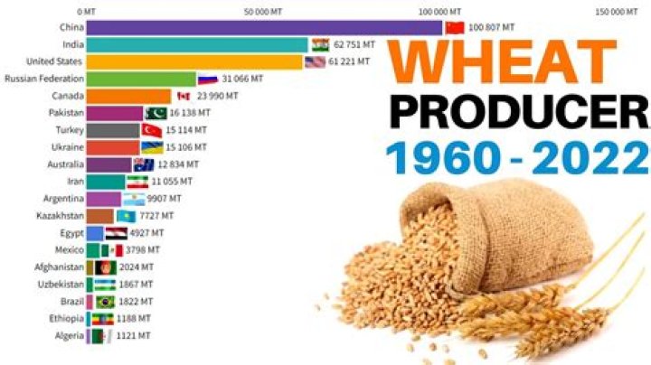 Which statement best explains the increase in wheat production in Europe and the United States compared to sub Saharan Africa?