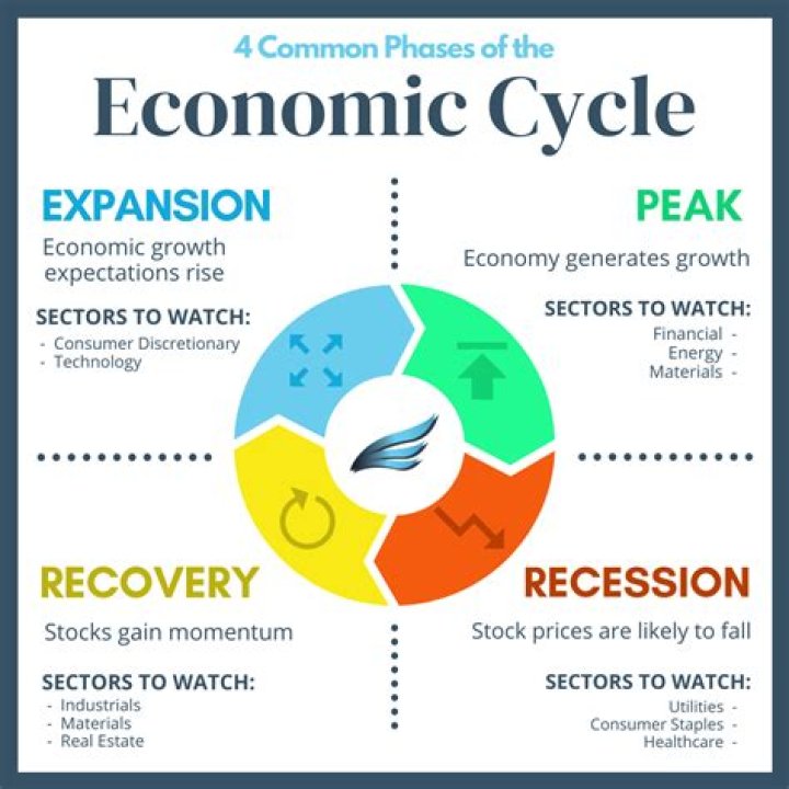 Which type of economics explains economic phenomena according to their causes and effects?