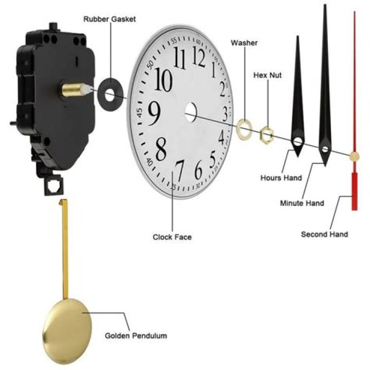 Which type of movement would be a pendulum clock?