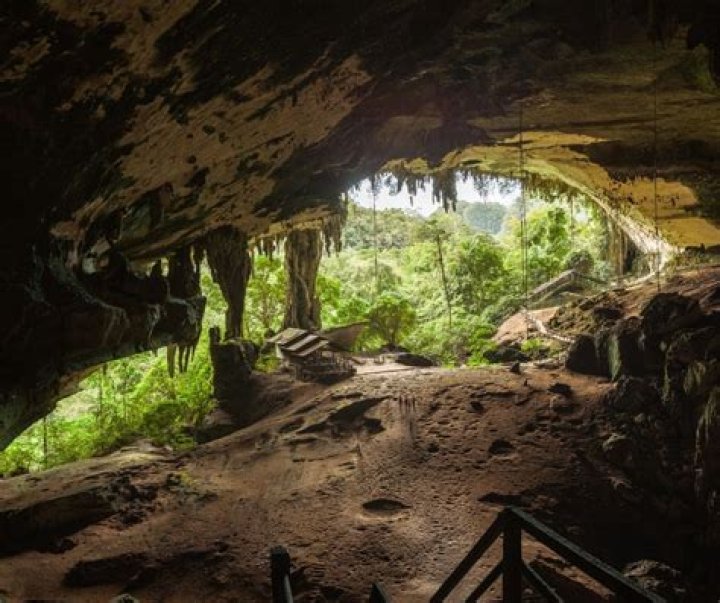 Who discovered Gua Niah?