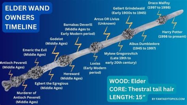 Who has ownership of the Elder Wand?