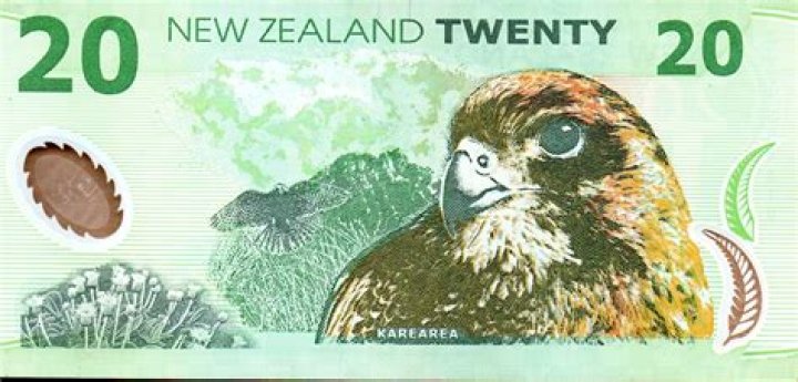 Who is on the $20 bill NZ?