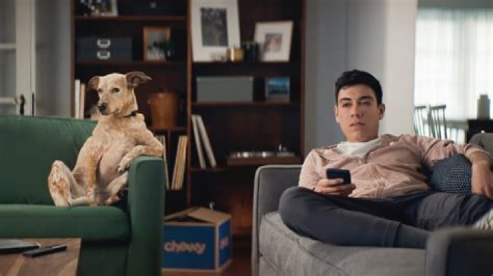 Who is the actor in the new AAA commercial?