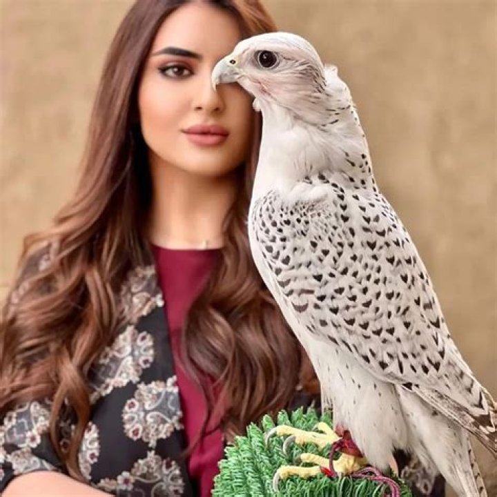 Who is the Princess of Arab?
