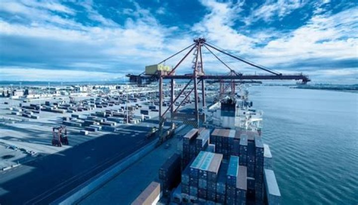 Who owns the Port of Brisbane?