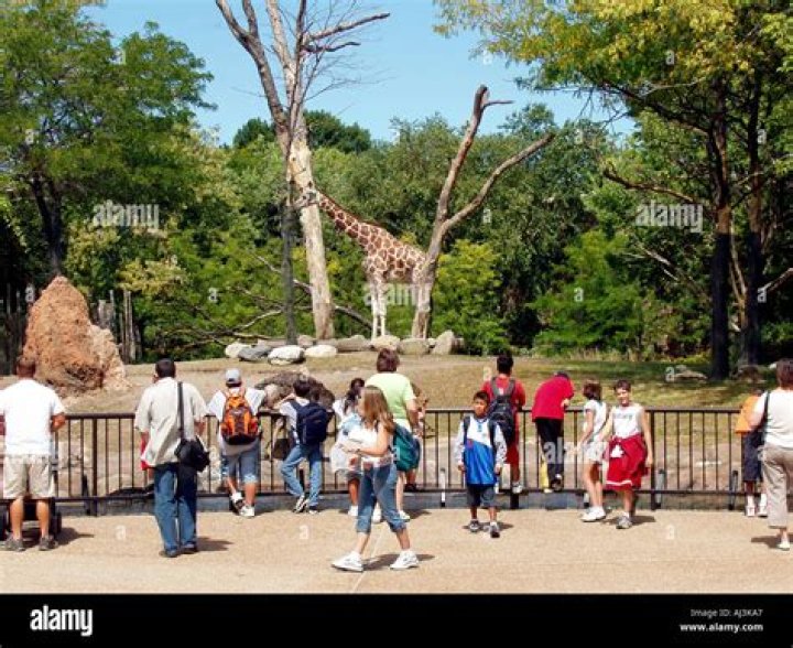 Who runs Lincoln Park Zoo?