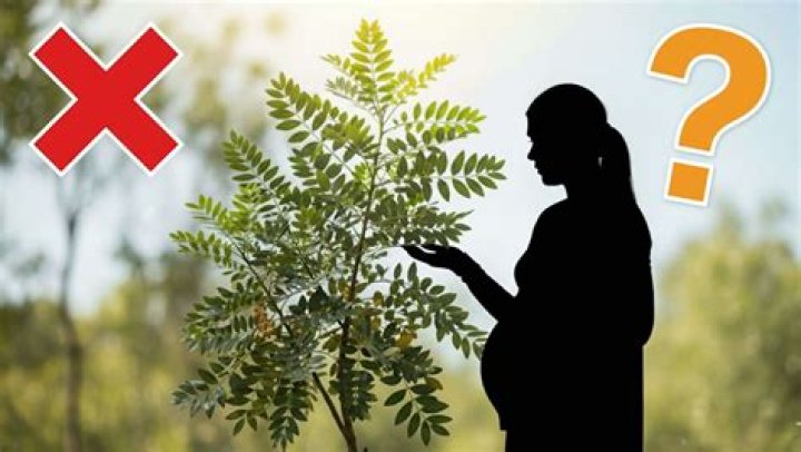 Who should not take boswellia?