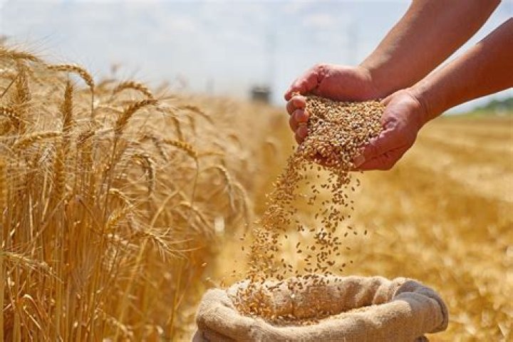 Who sold us grains Russia?