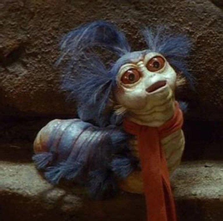 Who was the baby in the movie The Labyrinth?