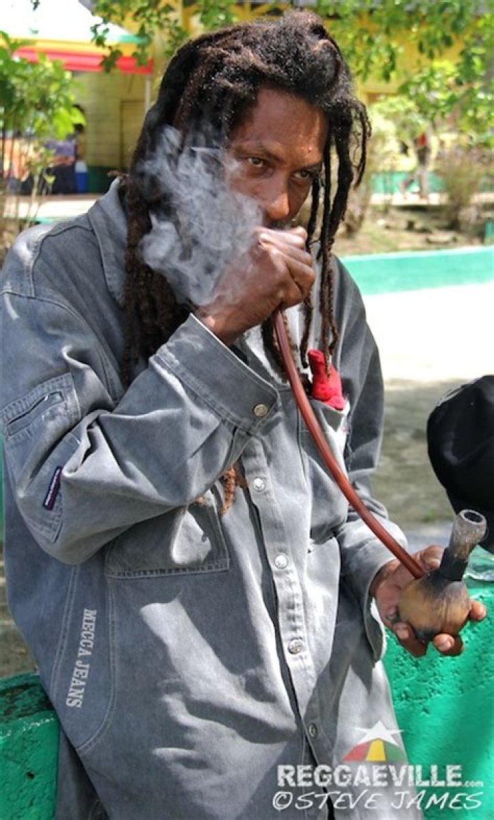 Who won the Cannabis Cup in 2015?