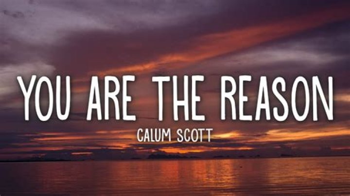 Who wrote the song the reason is you?