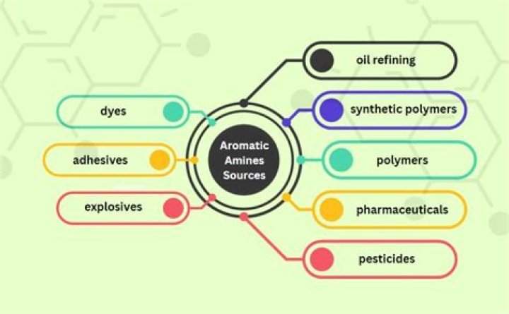 Why are aromatic amines carcinogenic?
