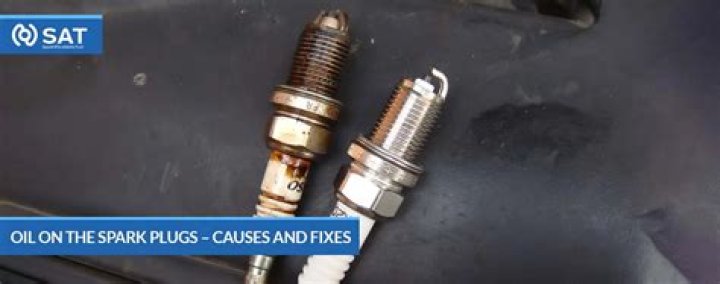 Why are my spark plugs black and oily?