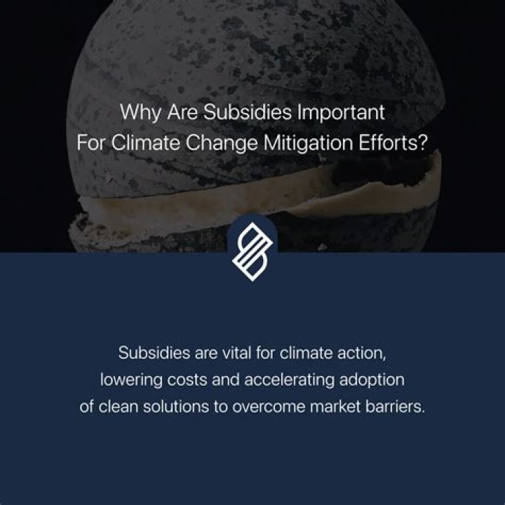 Why are subsidies important?