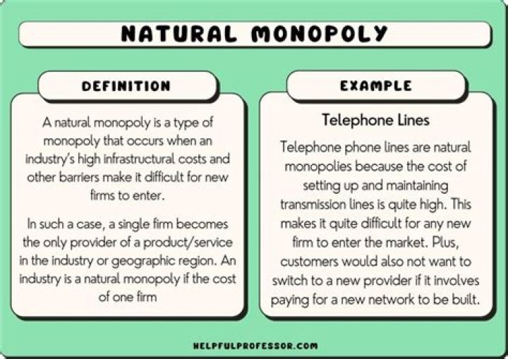 Why can industry that enjoys economies of scale easily become a natural monopoly?