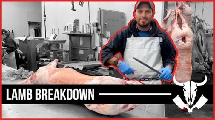 Why did Carcass break up?