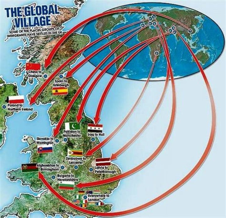Why did New Commonwealth immigrants come to Britain?