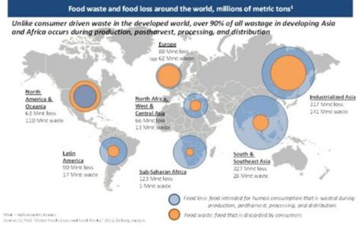 Why do developed countries produce more waste?