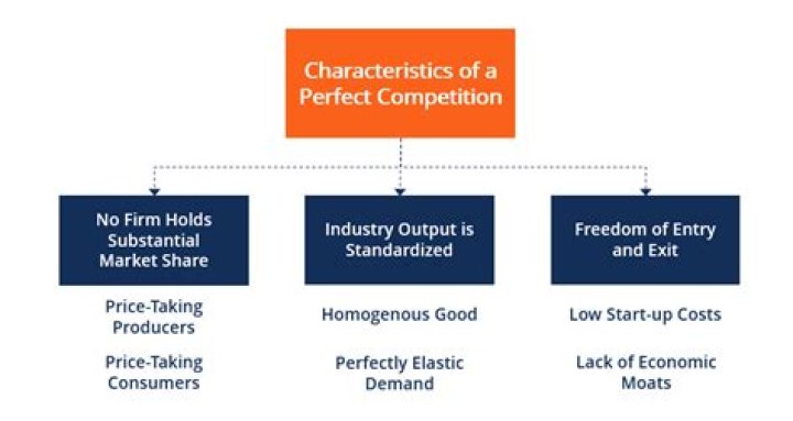 Why do economists study perfect competition?
