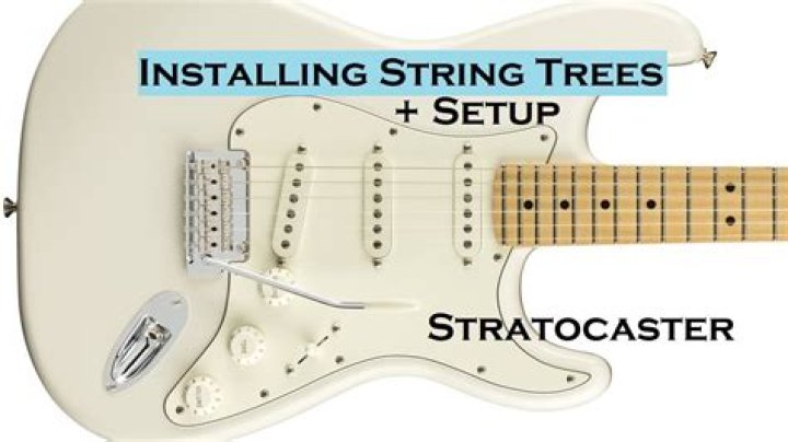 Why do I need string trees on a Strat?