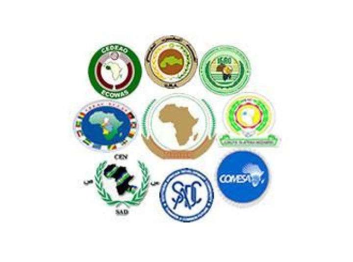 Why do we need regional cooperation and integration in Africa?