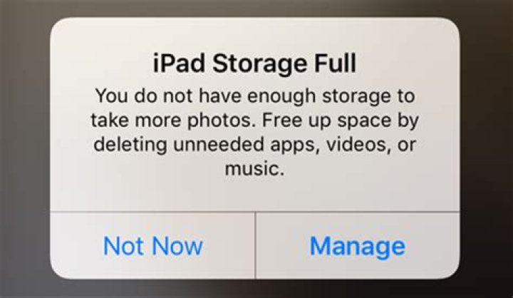 Why does my iPad storage says other?