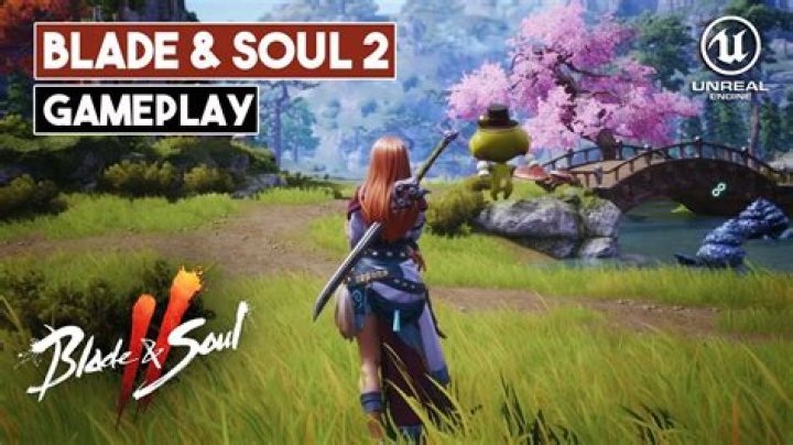 Why is Blade and Soul so laggy?