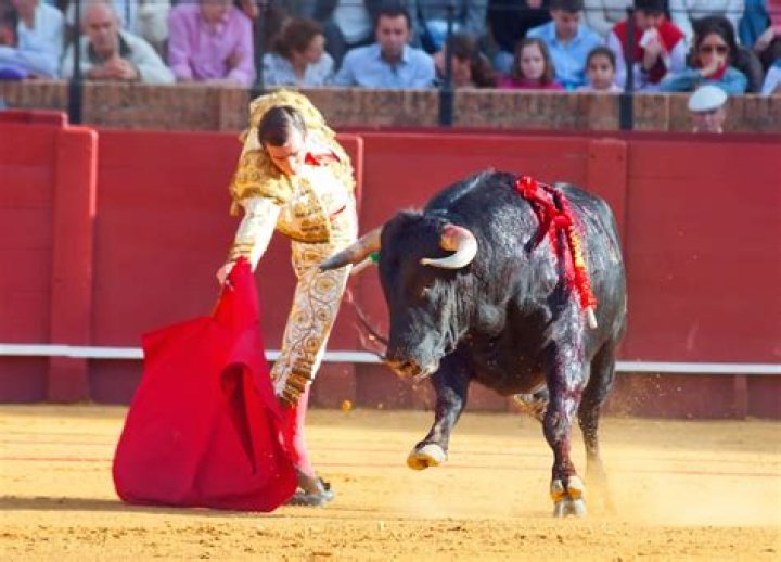 Why is corrida de toros important?