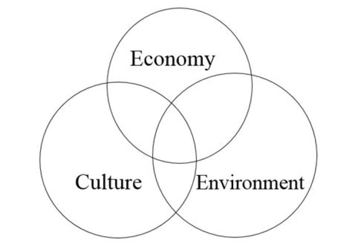 Why is economic anthropology important?